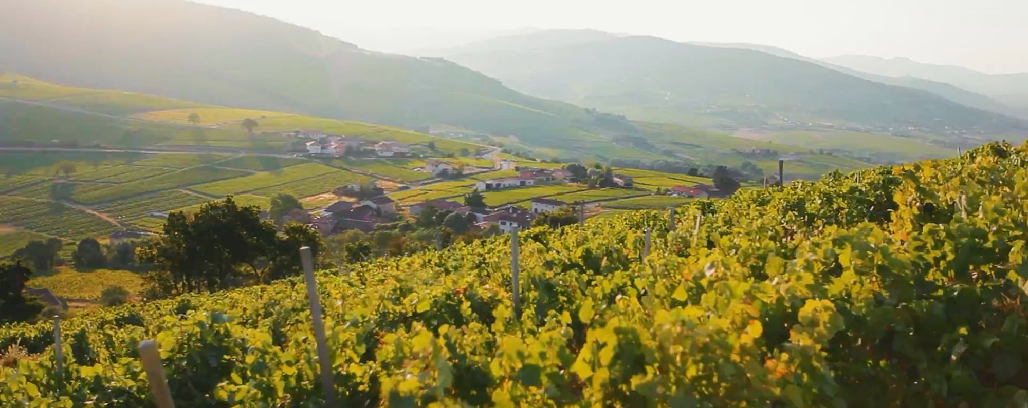 Beaujolais